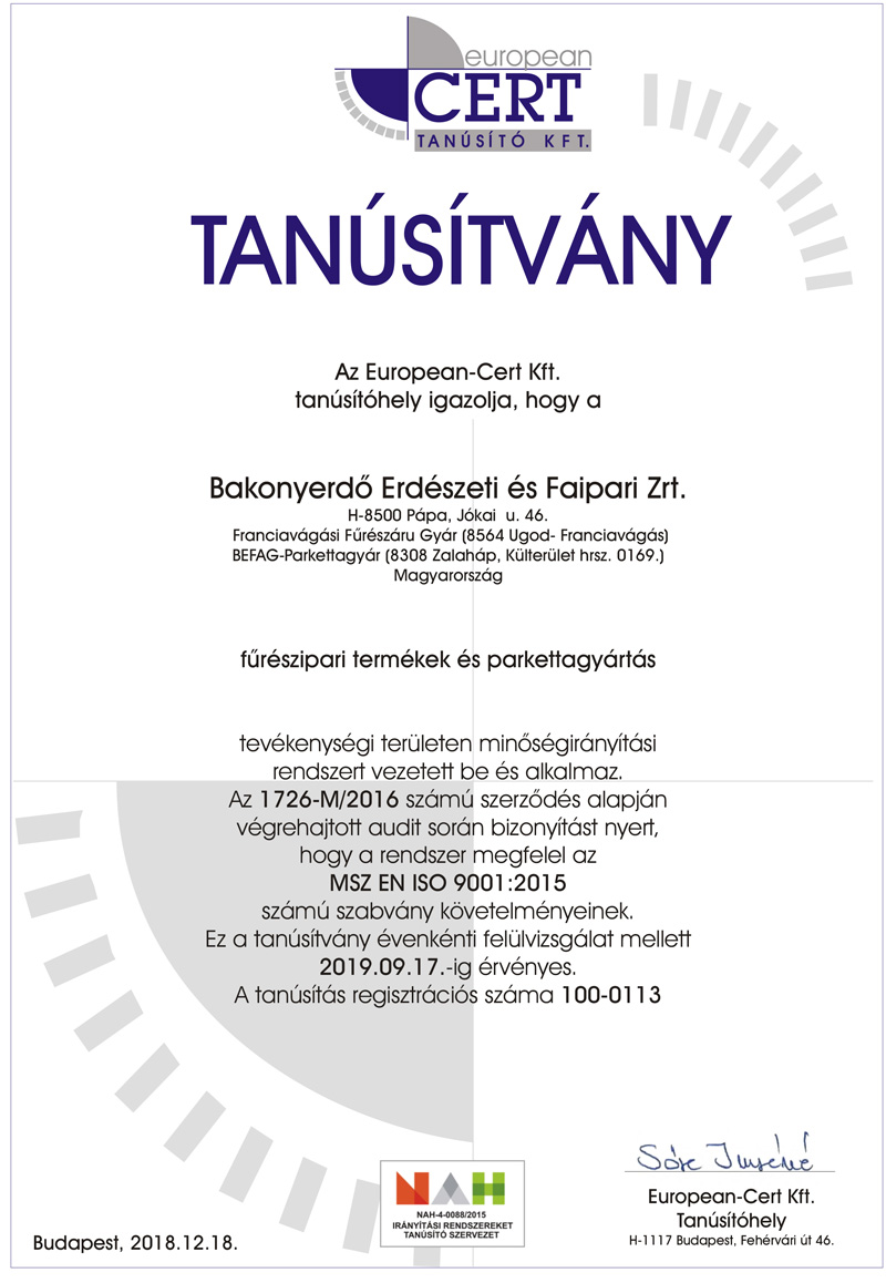 ISO 9001